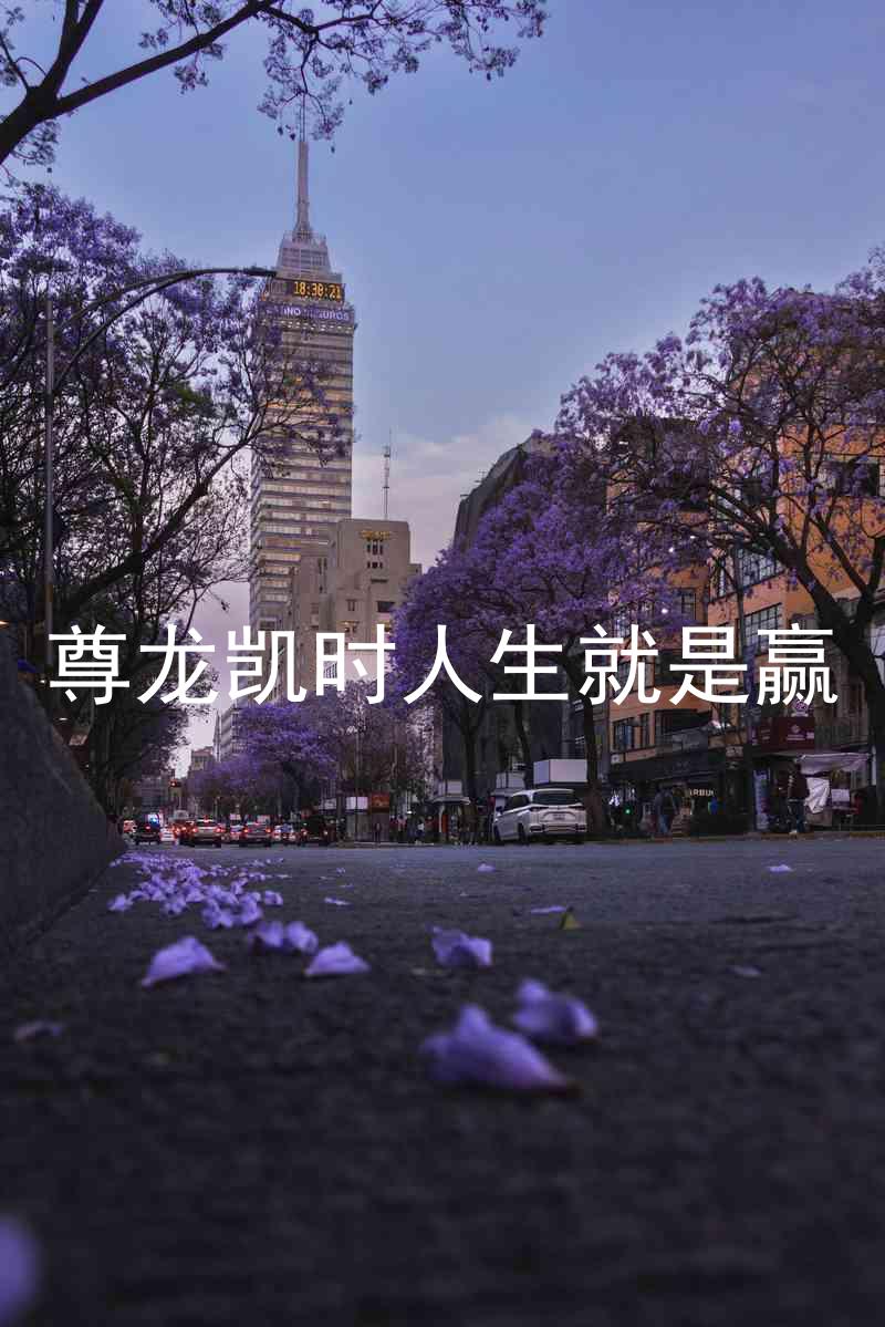 尊龙凯时人生就是赢
