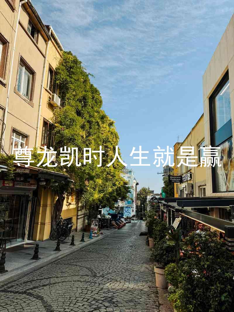 尊龙凯时人生就是赢