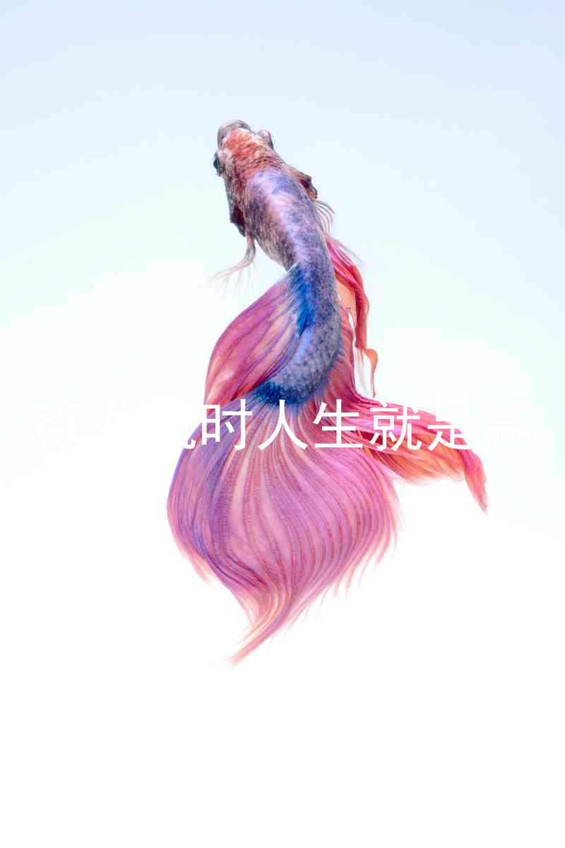 尊龙凯时人生就是赢
